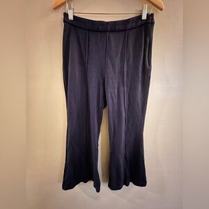 Tuckernuck X Atlantic Pacific penny pant, navy color, size M, great condition